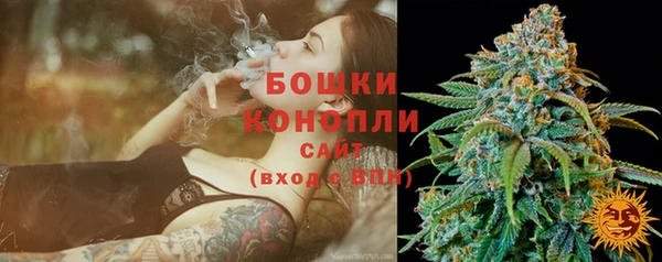 стафф Майский