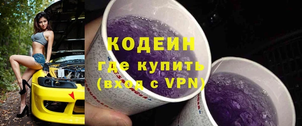 хмурый Лиски