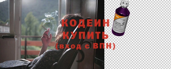 хмурый Лиски