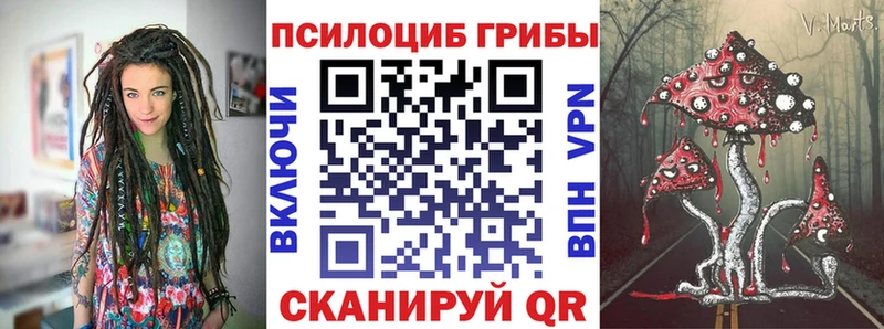 магазин наркотиков Отрадный Псилоцибиновые грибы ЛСД