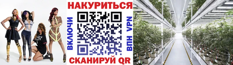 Каннабис Ganja  darknet Telegram  Отрадный 